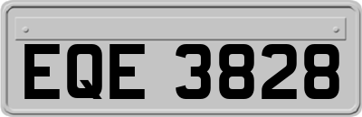 EQE3828