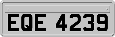 EQE4239
