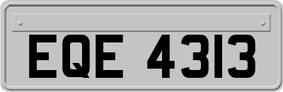 EQE4313