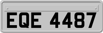 EQE4487