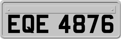 EQE4876