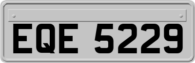 EQE5229