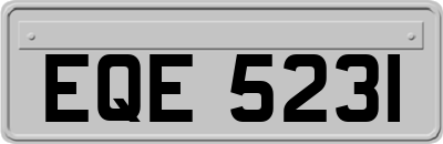 EQE5231