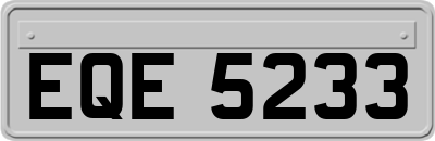 EQE5233