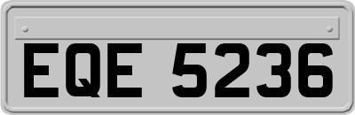 EQE5236