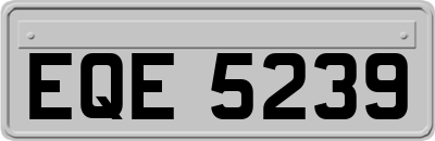 EQE5239