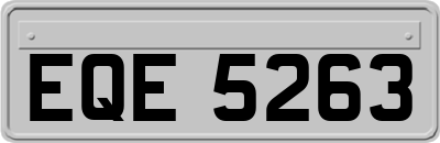 EQE5263