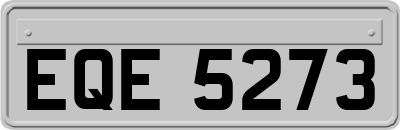 EQE5273