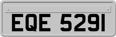 EQE5291