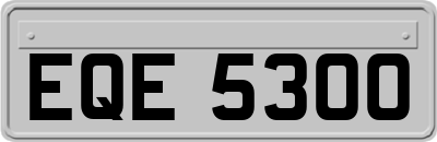 EQE5300