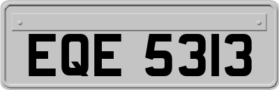 EQE5313