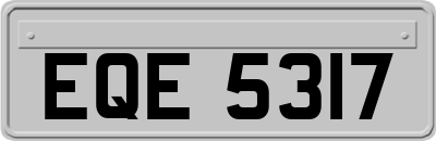 EQE5317