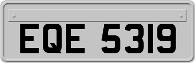 EQE5319