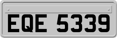 EQE5339