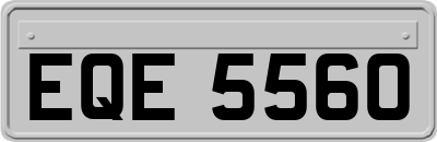 EQE5560