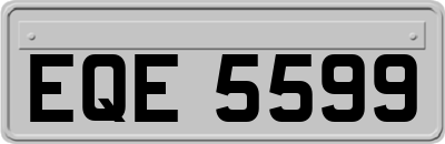 EQE5599