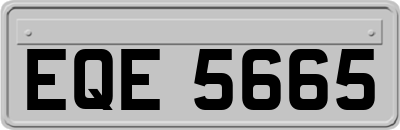 EQE5665