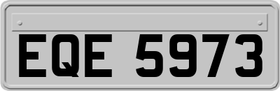 EQE5973