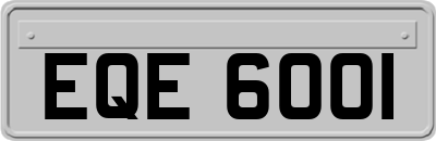 EQE6001