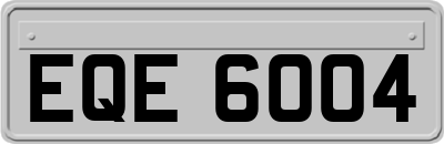 EQE6004