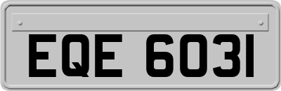 EQE6031