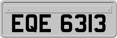 EQE6313