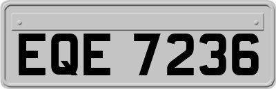EQE7236