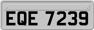 EQE7239