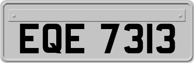 EQE7313