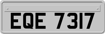 EQE7317