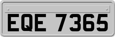 EQE7365