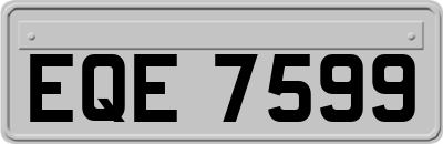 EQE7599