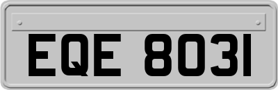 EQE8031