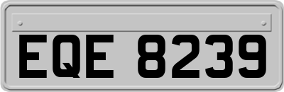 EQE8239