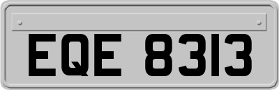 EQE8313