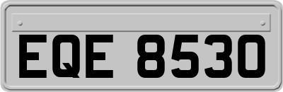 EQE8530
