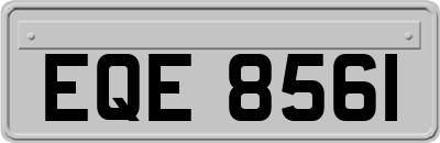 EQE8561