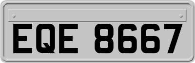 EQE8667
