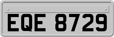 EQE8729