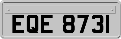 EQE8731