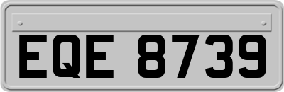 EQE8739