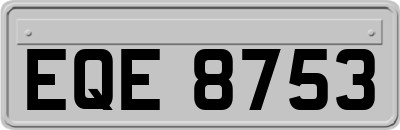 EQE8753