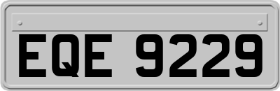 EQE9229