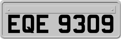 EQE9309