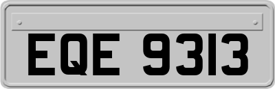 EQE9313