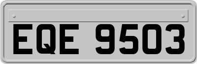 EQE9503
