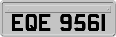 EQE9561