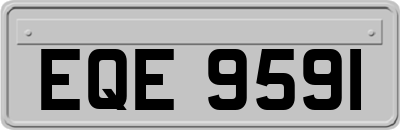 EQE9591