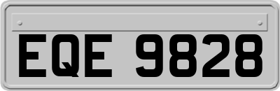 EQE9828