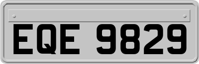 EQE9829